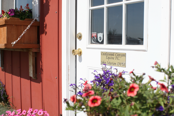 Castlewood Canyon Equine - Quality Horse Veternarian Services for  Franktown Co, Elizabeth, Parker and the surrounding areas.