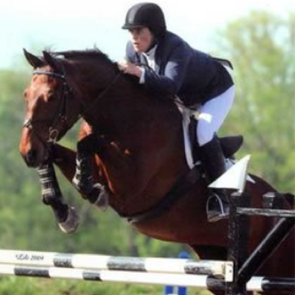 This is a horse named Corelli at a grand prix in TN